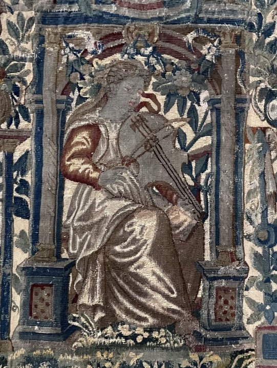 TAPESTRY - VIOLA DA BRACCIO